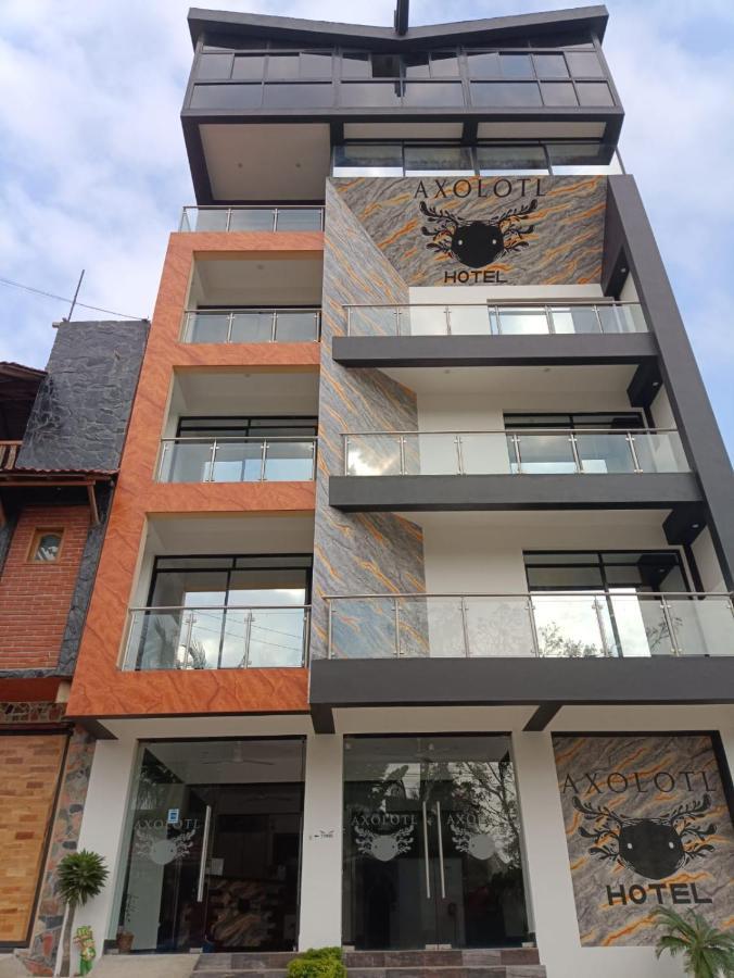 Hotel Axolotl Puerto Escondido  Zewnętrze zdjęcie