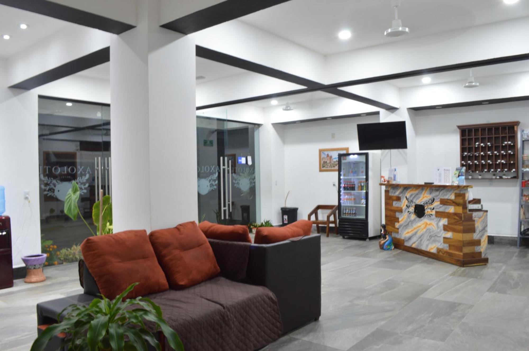 Hotel Axolotl Puerto Escondido  Zewnętrze zdjęcie