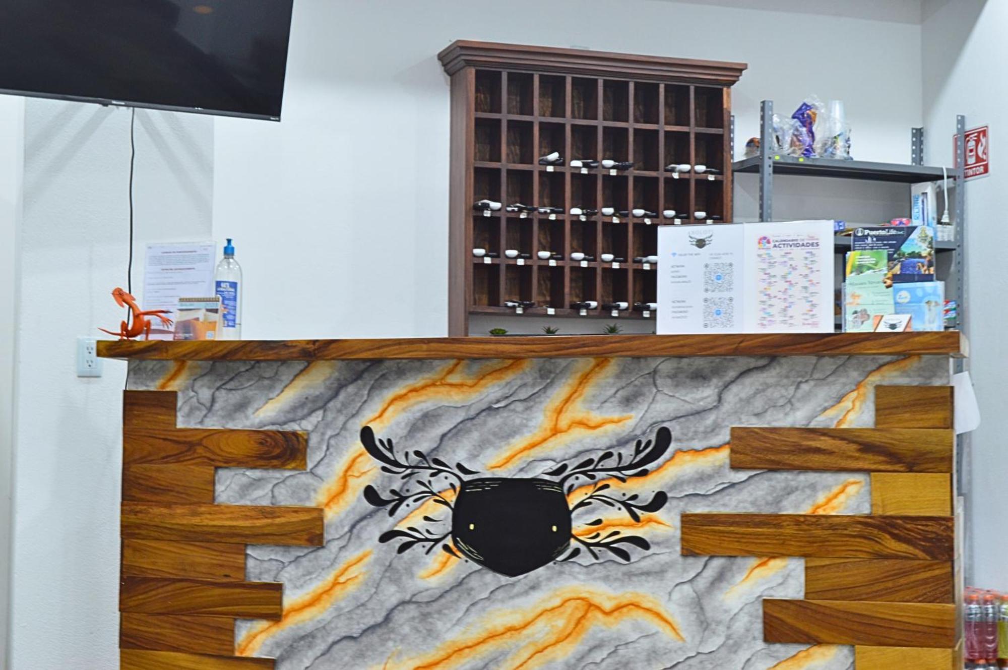 Hotel Axolotl Puerto Escondido  Zewnętrze zdjęcie